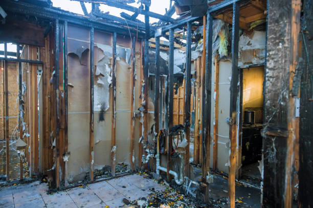 Professional Soot Cleanup technician working in Gilman, IL
